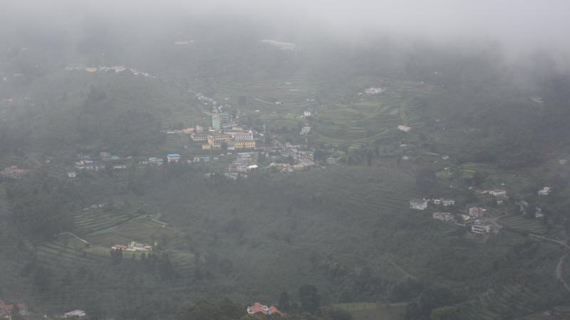 Photo : Purabi Deshpande / Research Matters