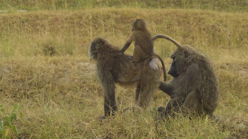 Photo : Purabi Deshpande / Research Matters