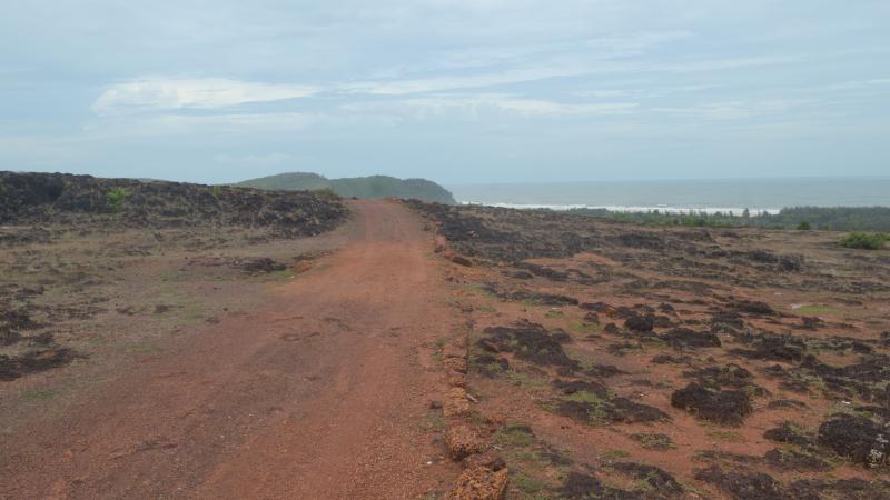 Photo : Dennis C J / Research Matters