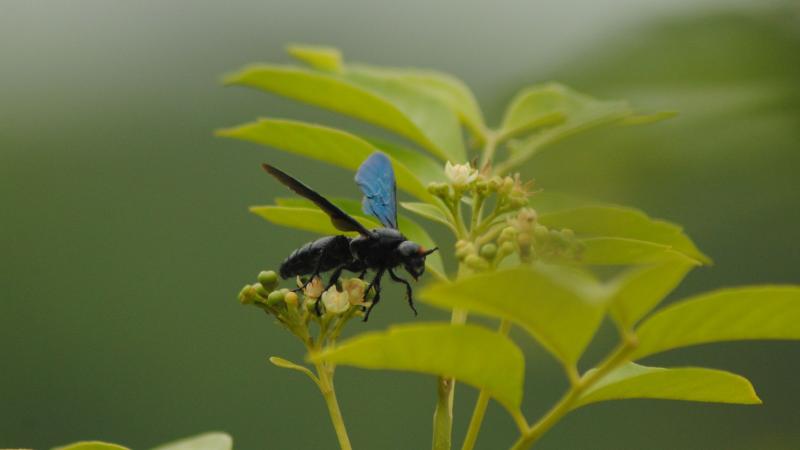 Photo : Purabi Deshpande / Research Matters