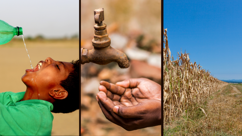 Illustration of drought and heat wave