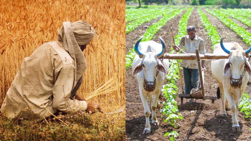 Farming in India