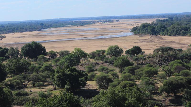 Photo : Spoorthy Raman / Research Matters