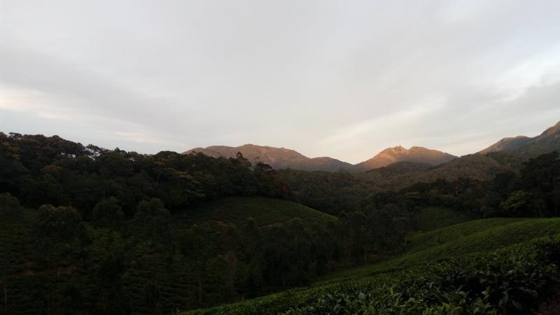 Photo : Vidisha Kulkarni / Research Matters