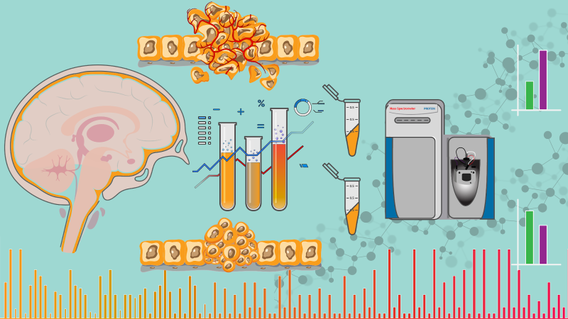 A graphic representation of  biomarkers that could predict meningioma severity