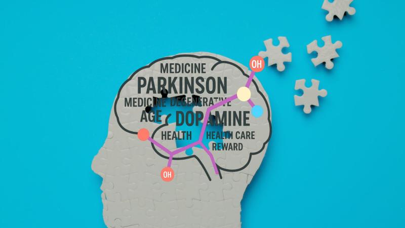 Graphical representation of removed puzzle pieces of the brain