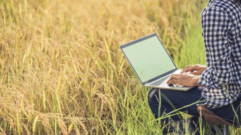Working on Laptop next to a farm
