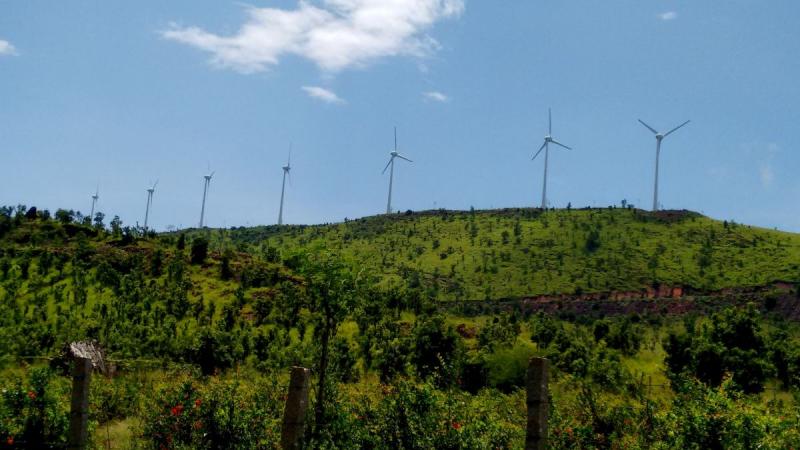 Navigating the Green Path: India's Climate Journey Explored