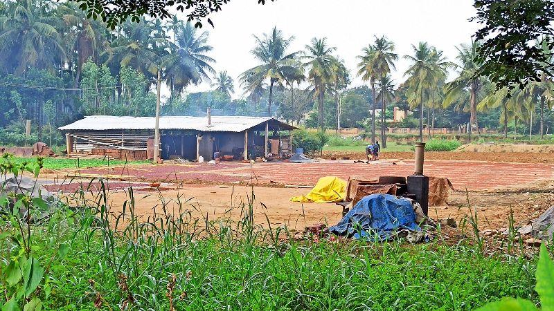 Air pollution hurts rural India too, not just its cities