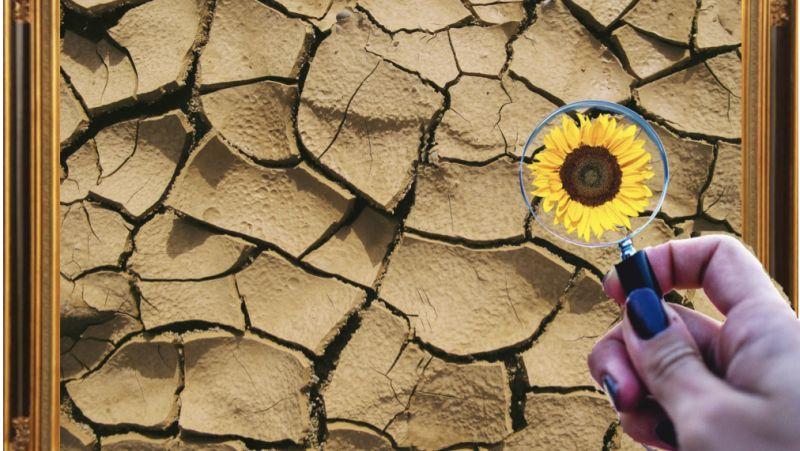 The How and the Why: Interpreting Scientific Studies - The Answer in the Jigsaw