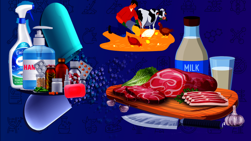 Monitoring Antibiotics in Dairy and Meat Made Easy 