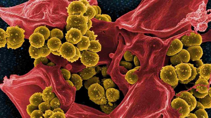 Harnessing the ‘power of two’ to kill drug-resistant bacteria
