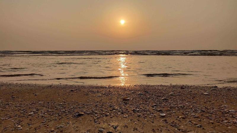 World Wildlife Day: Greening the Blue