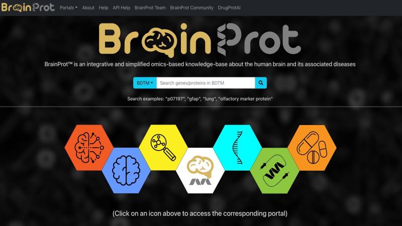 The schematic image of BrainProt