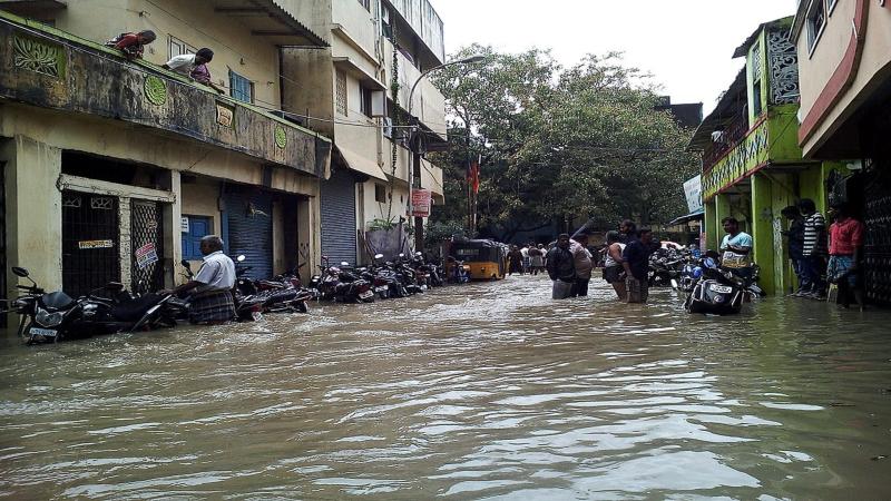 Fighting floods the 'expert' way