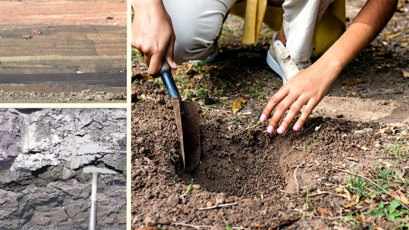 Pollen fossils from India tell a tale