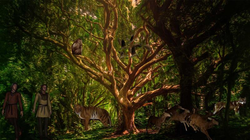 A holistic approach to biodiversity conservation