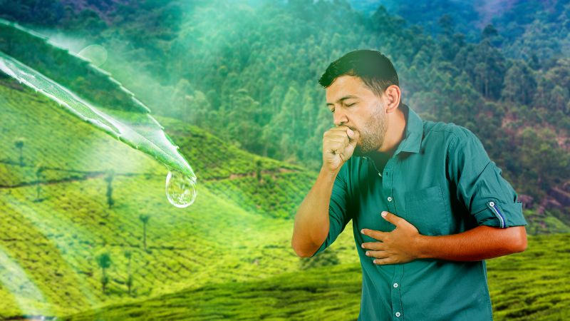 Dew point Hike and Tuberculosis Spike