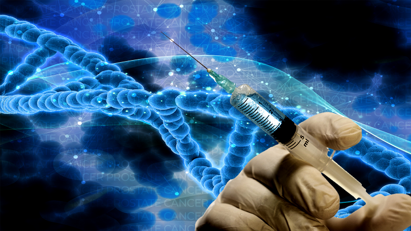 The role of a body patterning gene in driving prostate cancer now explained