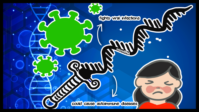 MicroRNA, a double-edged sword: role in viral infections and autoimmune diseases