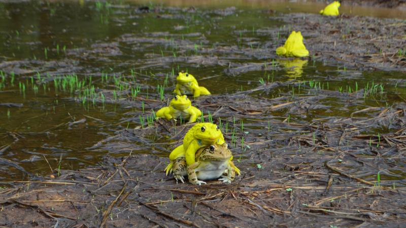 Photo: Vignesh Kamath/Research Matters