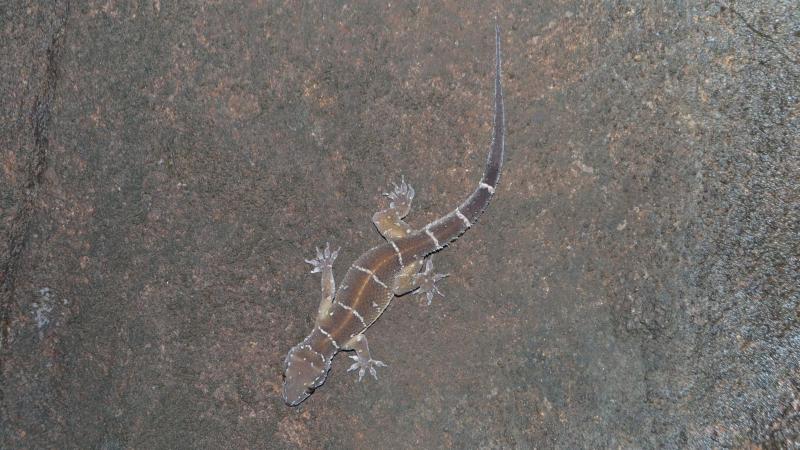 Photo : Vignesh Kamath / Research Matters