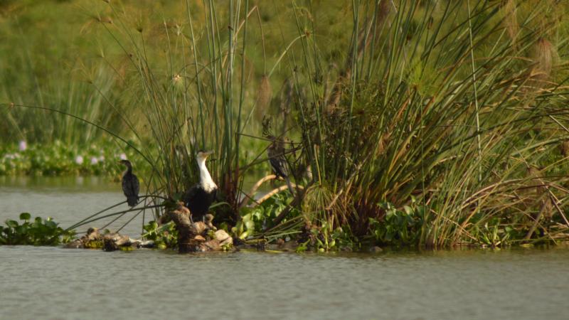 Photo : Purabi Deshpande / Research Matters