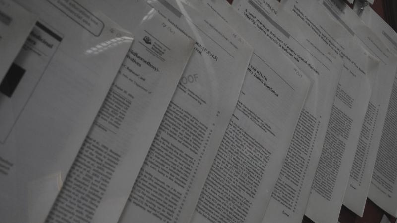 Photo : Purabi Deshpande / Research Matters