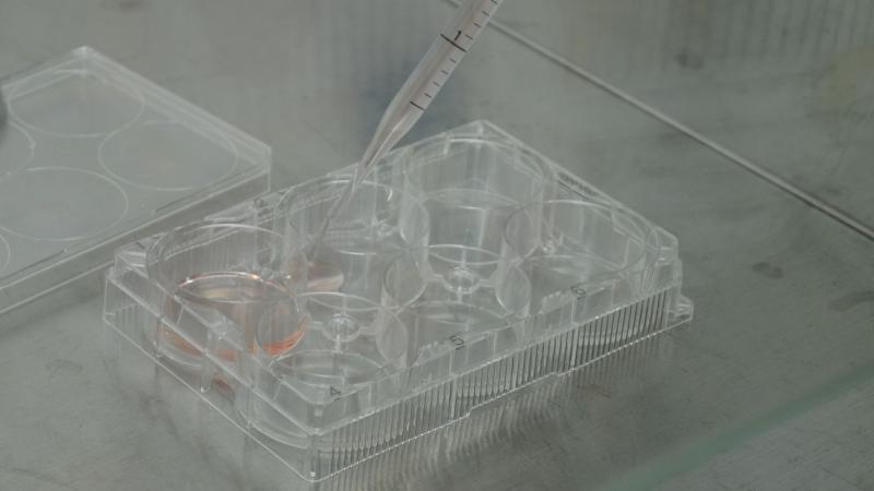 Photo : Purabi Deshpande / Research Matters