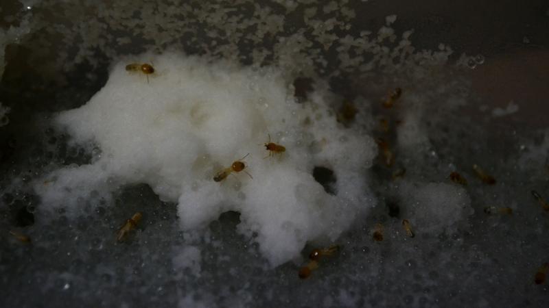 Photo : Purabi Deshpande / Research Matters