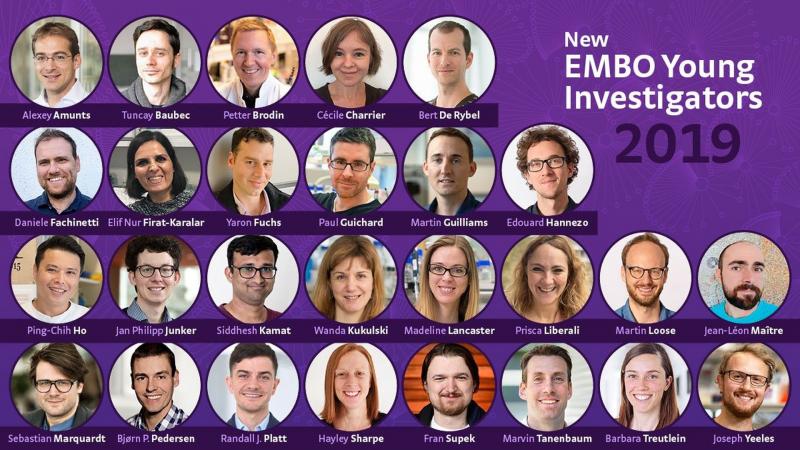 Prof Siddhesh Kamat from IISER Pune awarded EMBO Young Investigators grant