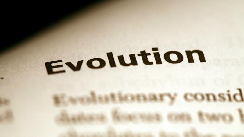 The second Indo-Swiss Meeting on Evolutionary Biology begins today