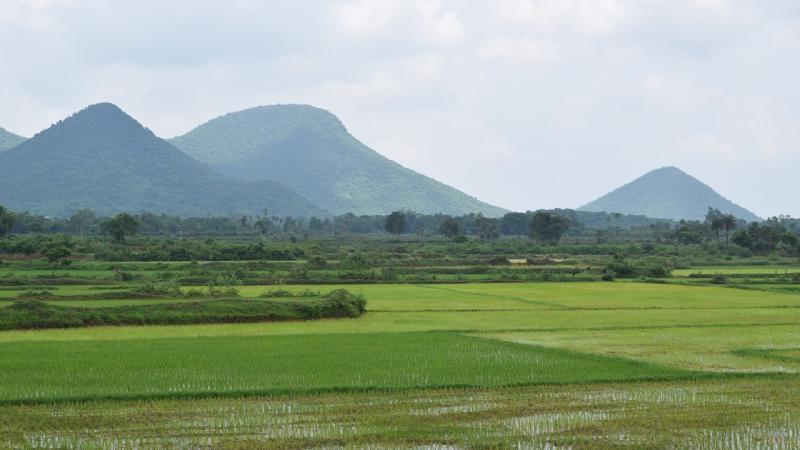 Rapid Urbanisation and Deforestation are Warming up the State of Odisha, finds study