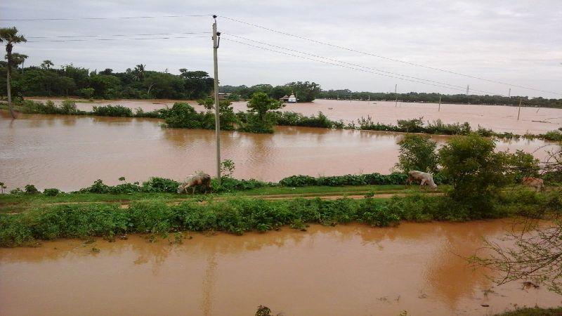 Finding flood risks at the village-level to facilitate decision-making