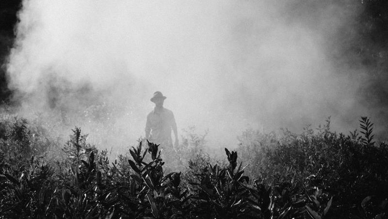 The art of crafting insect-specific pesticides using machine learning