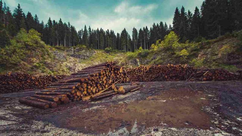 Researchers identify hotspots and coolspots of human activities threatening wildlife