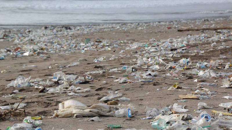 পলিথিন নষ্ট কৰিব পৰা দুবিধ ভেঁকুৰ