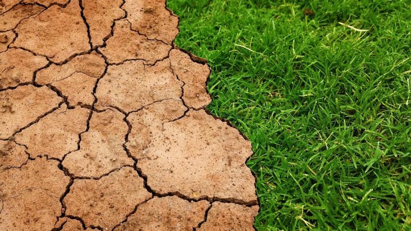 অধ্য়য়নৰ মতে গোলকীয় উষ্ণতা বৃদ্ধিয়ে বিশ্বত অর্থনৈতিক অসমতা বঢ়োৱাত সহায় কৰিছে