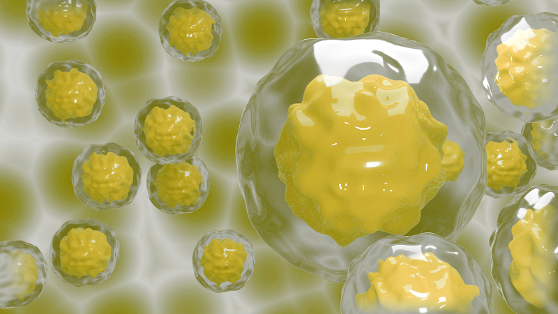 New insights in stem cell therapy