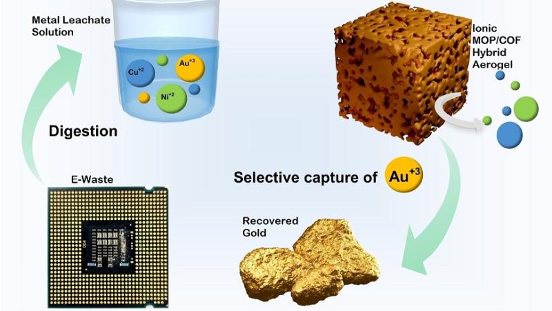 Schematic of gold extraction with MOP/COF aerogel. Credit: Majumder, Dipanjan, et al. "Nano-Springe Enriched Hierarchical Porous MOP/COF Hybrid Aerogel: Efficient Recovery of Gold from Electronic Waste." Angewandte Chemie International Edition