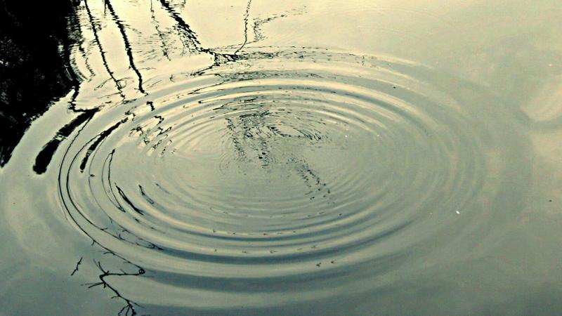 Photo : Siddharth Kankaria / Research Matters