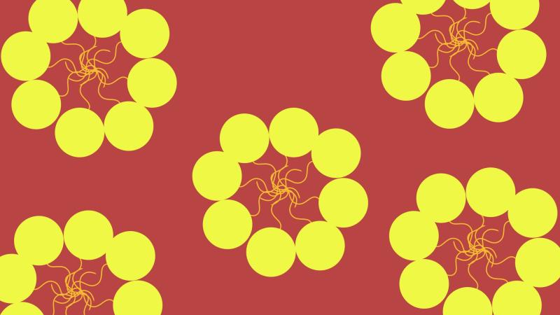 Illustration : Purabi Deshpande / Research Matters