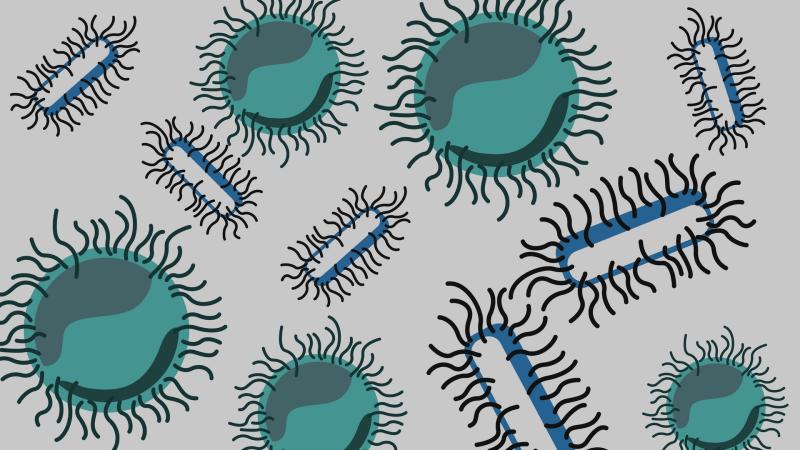 Infographic : Purabi Deshpande / Research Matters