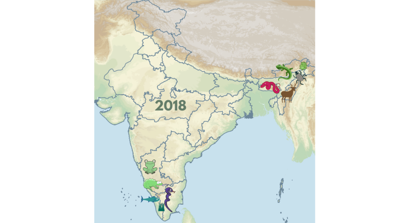Image: Vignesh Kamath/ Research Matters