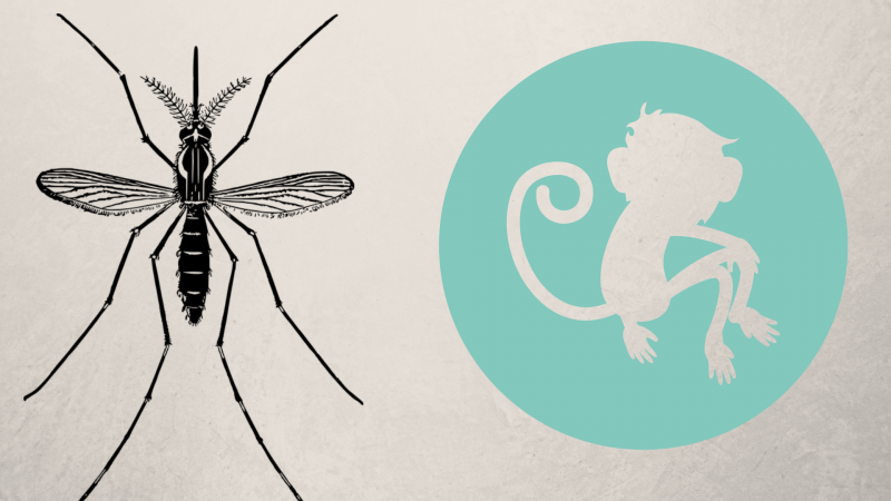 Photo: Annie with Canva