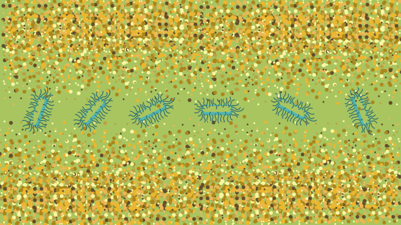 Photo: Annie, Gubbi Labs