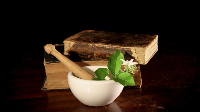 புற்றுநோய் எதிர்ப்பு பண்புகள் கொண்ட பாரம்பரிய சித்தவைத்திய மருந்து 'பட்டுக்கருப்பு' - ஆய்வில் தகவல் 