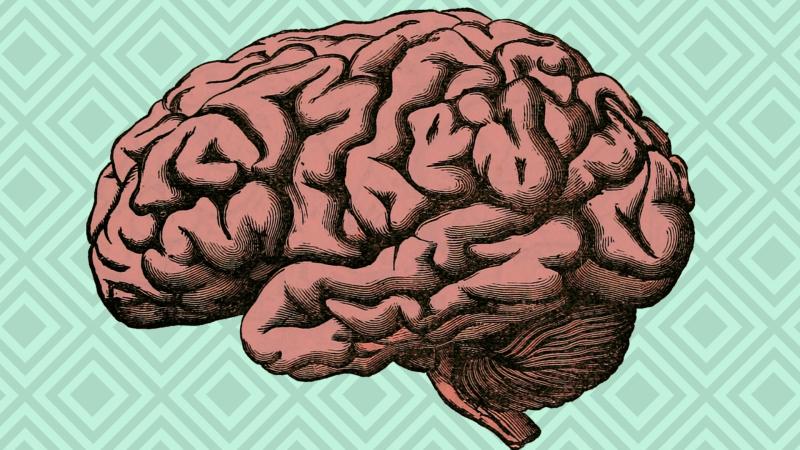 Credit: Annie Megan Santamaria/ Gubbi Labs