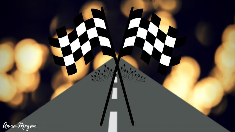 The Rush for the Final Race