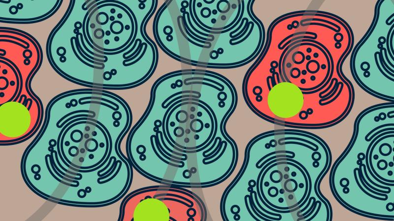 Infographic : Purabi Deshpande / Research Matters 